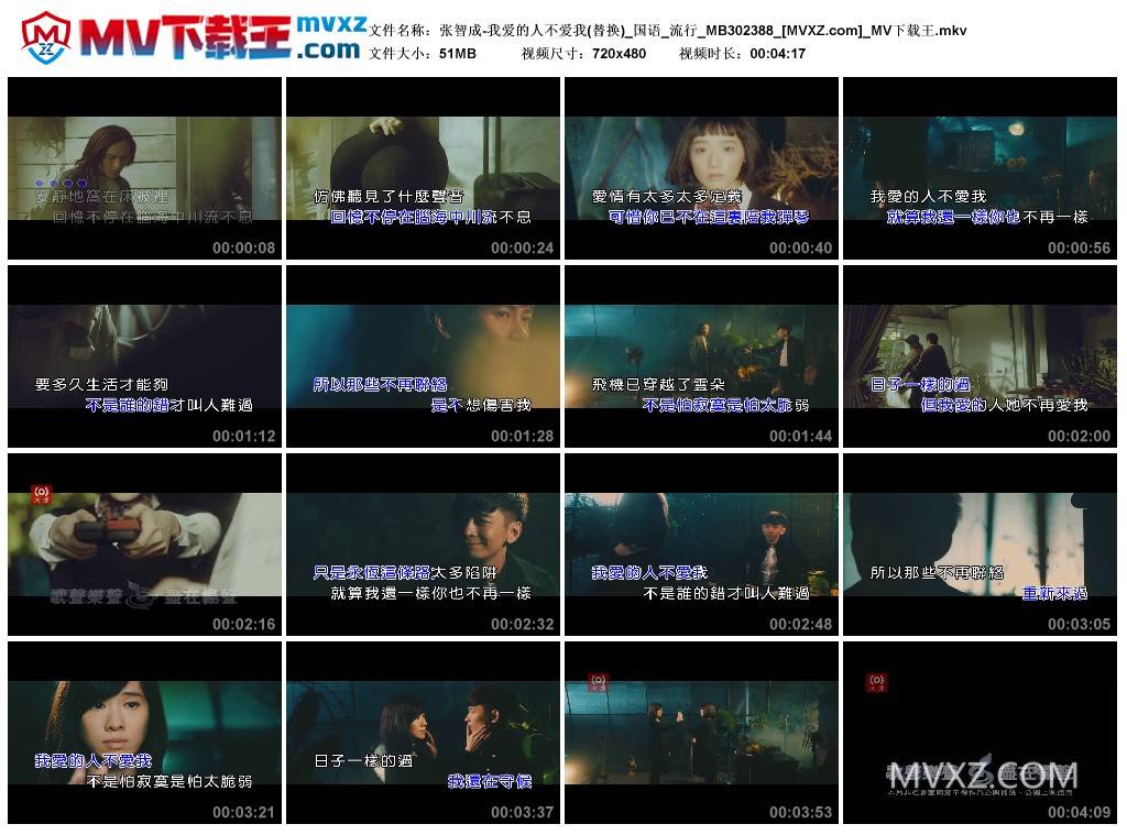 张智成-我爱的人不爱我(替换)_国语_流行_MB302388